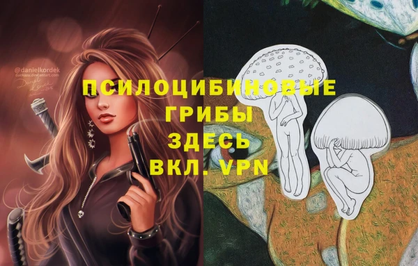 альфа пвп Арсеньев