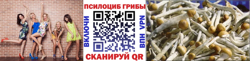 blacksprut Долгопрудный Псилоцибиновые грибы MAGIC MUSHROOMS продажа наркотиков