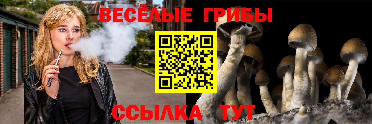 купить  цена  Вход с VPN  Долгопрудный  Псилоцибиновые грибы Cubensis 